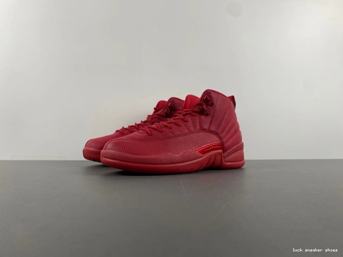 LUCY Retro Red Gym 130690-601 Jordan 12 (2018) Air 0716